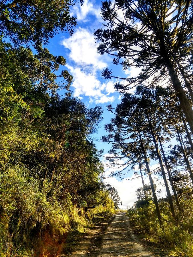 Refugio Das Araucarias Urubici Kültér fotó