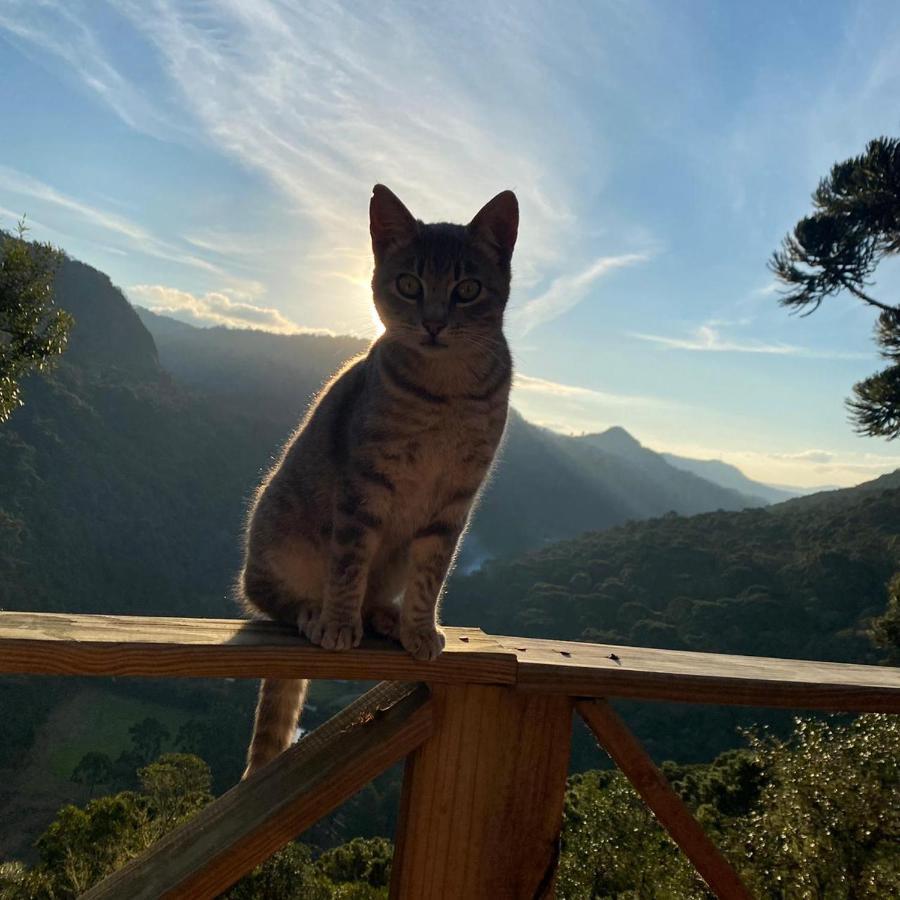 Refugio Das Araucarias Urubici Kültér fotó